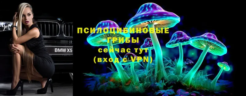 Галлюциногенные грибы Magic Shrooms  Енисейск 